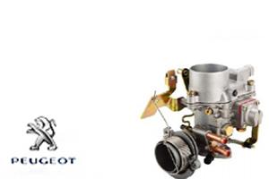 PEUGEOT Engine Carburetor